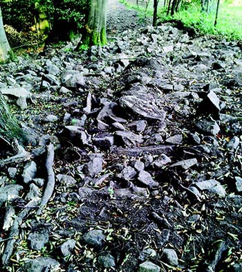 A typical cable route in a wind farm: the sharp stones create a risk of cable damage